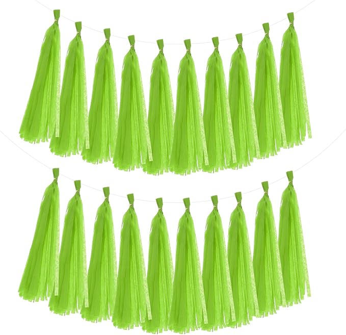 MECCANIXITY 20Pcs Tassel Garland Banner Tissue Paper by MECCANIXITY