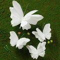 SUNBEAUTY Large White Paper Butterflies 3D Butterfly Party Decorations Giant by SUNBEAUTY