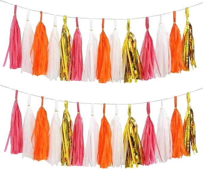 Shiny Tassel Garland Tissue Paper Tassel Banner, Tassels Decorations by AimtoHome