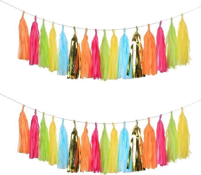 Meetppy 30PCS Mexican Fiesta Cactus Tassel Garland Tissue Paper Tassels Banner by Meetppy
