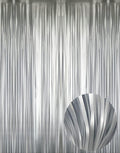 GOER 3.2 ft x 8.2 ft Metallic Tinsel Foil Fringe Curtains Party Photo Backdrop by GOER