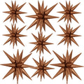 9Pcs Brown Star Balloons, Large Explosion Star Foil Balloons, Neutral Tan Mylar by Dagelar