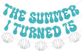 The Summer I Turned 15 Banner, Summer Beach Themed 15th Birthday Party by Unknown