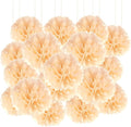 Qimoo 20pcs Peach Paper Pom Poms Decorations, DIY Decorative Tissue Paper by QIMOO