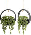 2pcs Artificial Succulents Hanging Plants 12.2'' Fake String of Pearls in Pot by FloweroyalCrafts
