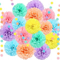 Macaron Colored Tissue Paper Pom Poms, Pastel Paper Pom Poms Circle Garland by KAXIXI