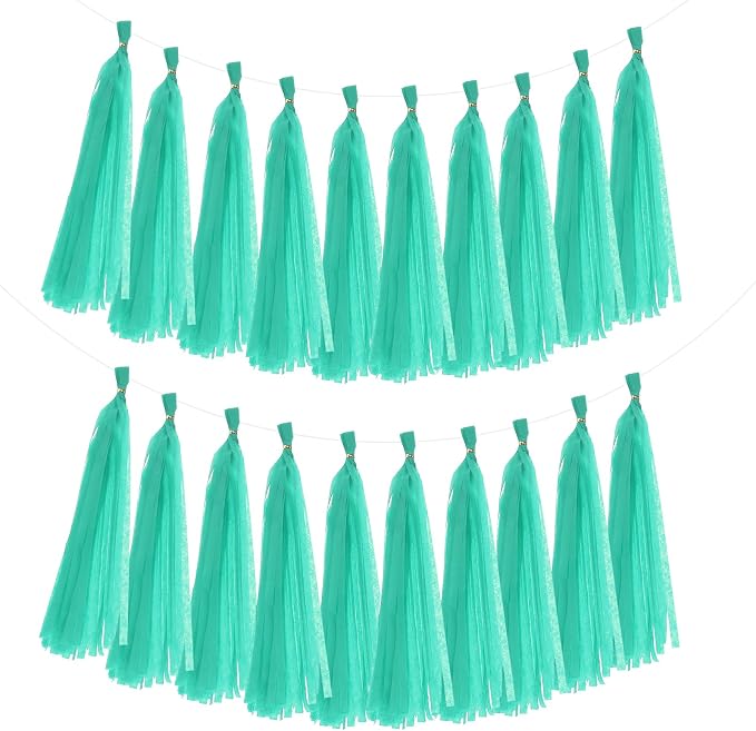 MECCANIXITY 20Pcs Tassel Garland Banner Tissue Paper by MECCANIXITY
