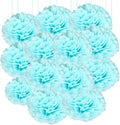 Qimoo 20pcs Light Blue Paper Pom Poms Decorations, DIY Decorative Tissue Paper by QIMOO