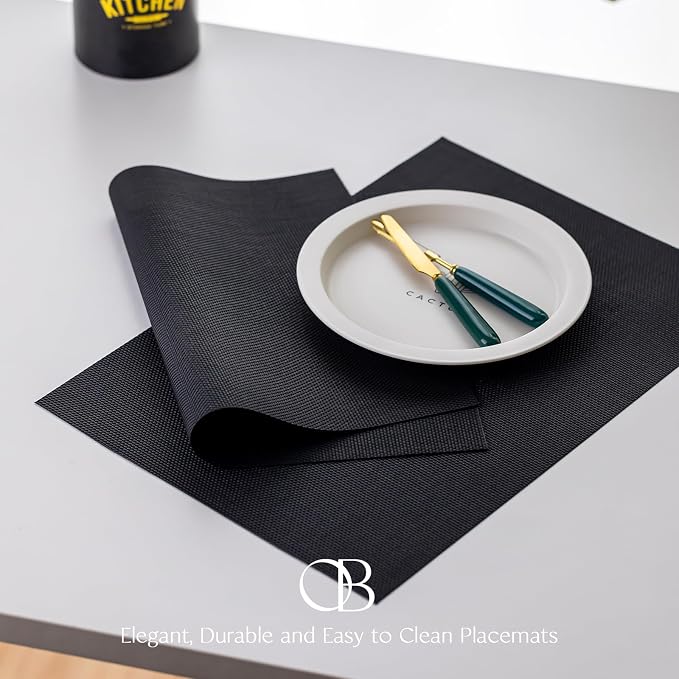 Placemats Set of 12 - Image 3