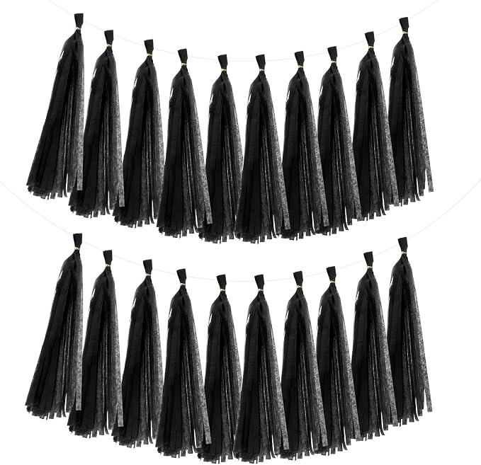 MECCANIXITY 20Pcs Tassel Garland Banner Tissue Paper by MECCANIXITY