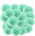 Qimoo 20pcs Mint Green Paper Pom Poms Decorations, DIY Decorative Pom-poms by QIMOO