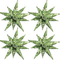 Camo Balloons Camouflage Balloon Army Balloons Camo Party Decorations Hunting by Enimapod