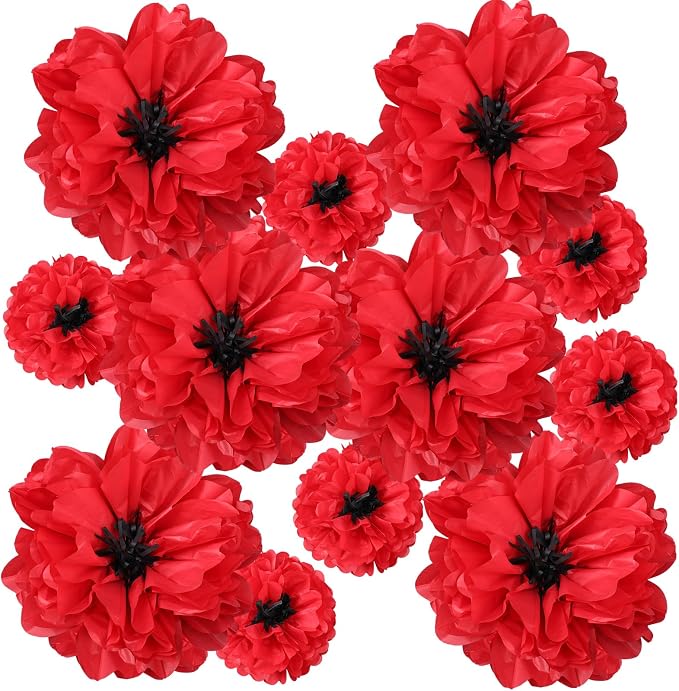 TaoBary Large Colorful Tissue Paper Flowers Giant Fiesta Paper Pom Poms by TaoBary