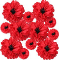 TaoBary Large Colorful Tissue Paper Flowers Giant Fiesta Paper Pom Poms by TaoBary