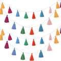 WILLBOND 4 Pcs Rainbow Tassel Garland by Willbond+Technology+Limited