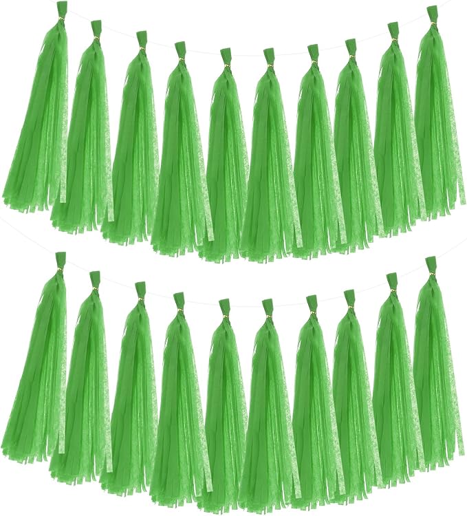 MECCANIXITY 20Pcs Tassel Garland Banner Tissue Paper by MECCANIXITY