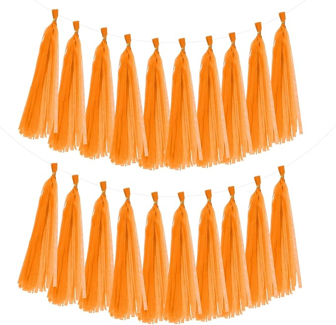 MECCANIXITY 20Pcs Tassel Garland Banner Tissue Paper by MECCANIXITY