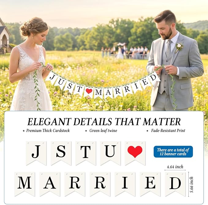 Vintage Just Married Banner - Image 3