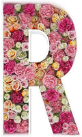 2FT Letter R Mosaic Balloon Frame Letter DIY Fillable Letters Kit by JW+Passion+-+Premium+Quality%2C+Made+With+Passion