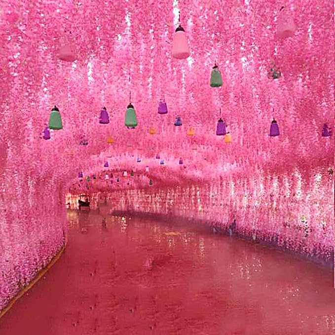 Artificial Wisteria Hanging Flowers Fake Wisteria Flower Garland Silk Vines - Image 8