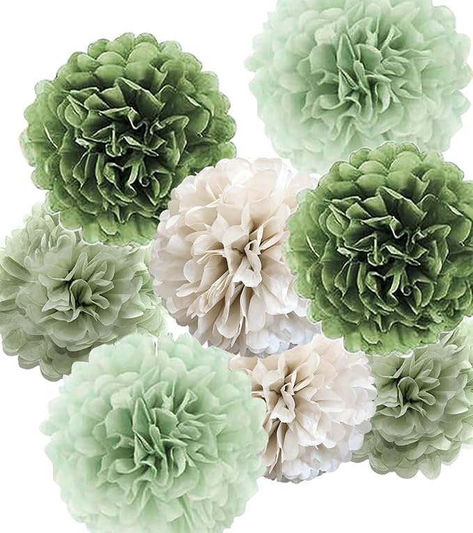 Tissue Paper Pom Poms Kit Paper Flowers 12pieces by Bamonos