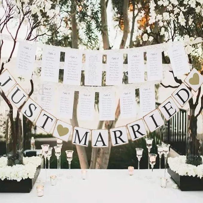 GuassLee JUST Married Banner Car Decorations, Photo Props and Car Decorations - Image 4