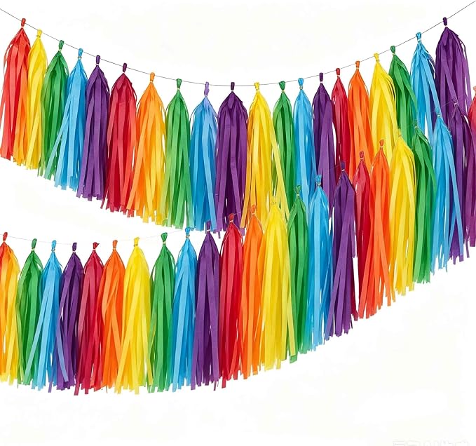 Rainbow Tassel Garland Banner-30 Pack of Colorful Paper Tassels Streamers by Unknown