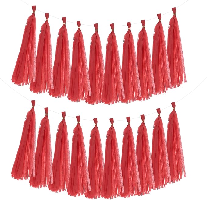 MECCANIXITY 20Pcs Tassel Garland Banner Tissue Paper by MECCANIXITY