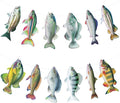 Fish Birthday Decorations Gone Fishing Party Decorations Fresswater Sunfish by Adecortalk