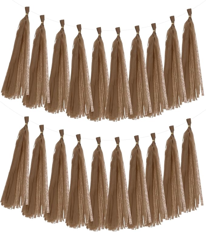 MECCANIXITY 20Pcs Tassel Garland Banner Tissue Paper by MECCANIXITY