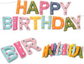 Pre-Strung Unique Handmade Wool Felt Colorful Happy Birthday Banner Garland | by Unknown