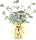 Bessol Artificial Eucalyptus Stems in Glass Vase by Bessol