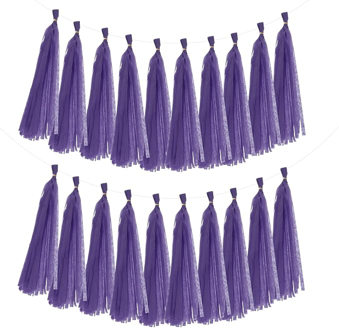 MECCANIXITY 20Pcs Tassel Garland Banner Tissue Paper by MECCANIXITY