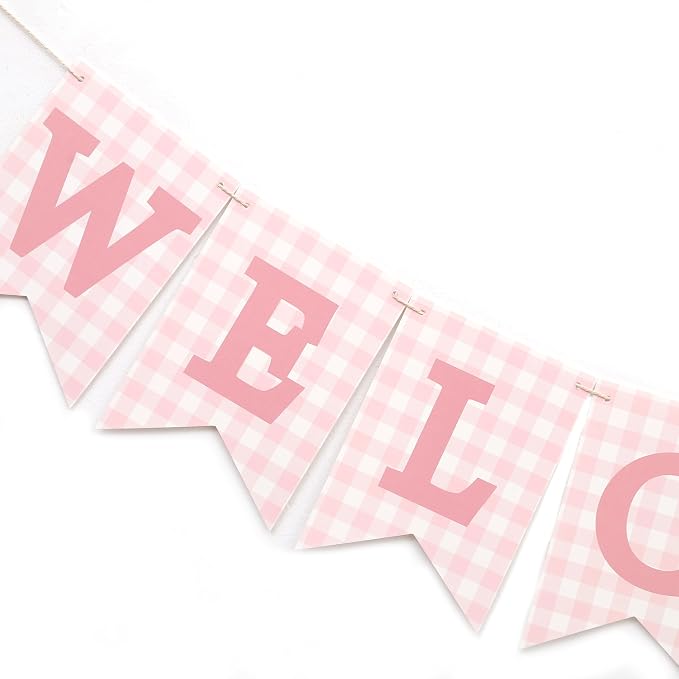 Pink Gingham Welcome Baby Shower Banner - Image 4