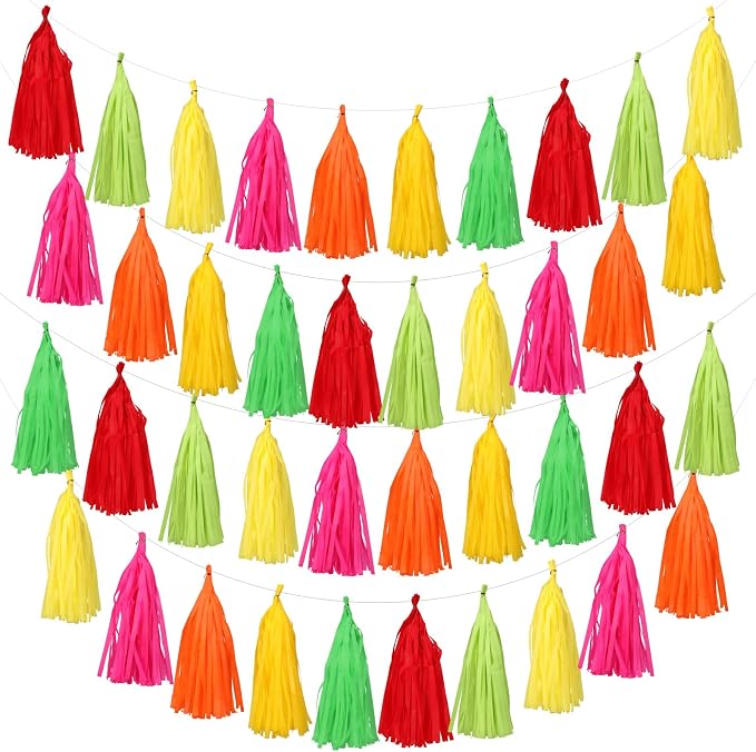 Fullhawl 45 Pcs Colorful Tassel Garland Decorations Tissue Paper Tassel Banner by Fullhawl