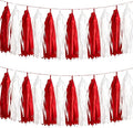 We Moment Red and White Tassel Garland，Tissue Tassel Banner by We+Moment