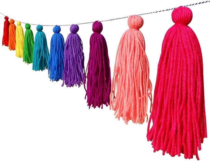 Big Size Tassel Garland H6.3in Polyester yarn Colorful Pom Pom Tassel Banner by Binpeng