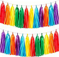 Rainbow Paper Tassel-Tassels Garland Banner is Perfect by Unknown