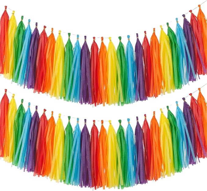 Rainbow Tassel Garland Banner, 30 Pack Colorful Paper Tassels Streamers by SIPRKAICT