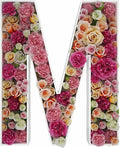 2FT Letter M Mosaic Balloon Frame Letter DIY Fillable Letters Kit by JW+Passion+-+Premium+Quality%2C+Made+With+Passion