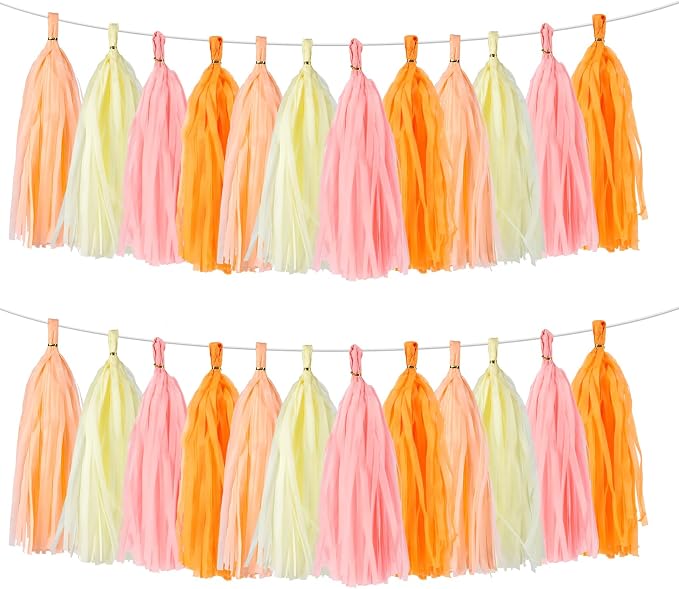 Peach Pink & Orange Tassel Garland Banner – 40 PCS Paper Tassels by BESTOFUN