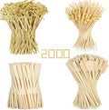 2000PCS Cocktail Picks Kit, 4 Styles Fancy Toothpicks by Vicuna+R