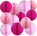 Pink Paper Honeycomb Balls, 6 and 10 inch Hanging Tissue Pompoms, 12 Pack Party by Unknown