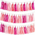 Pink Gradient Tissue Paper Tassels 30pcs, Adding Festive Whimsy to Any by Unknown