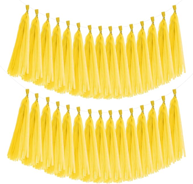 MECCANIXITY 40Pcs Tassel Garland Banner Tissue Paper by MECCANIXITY