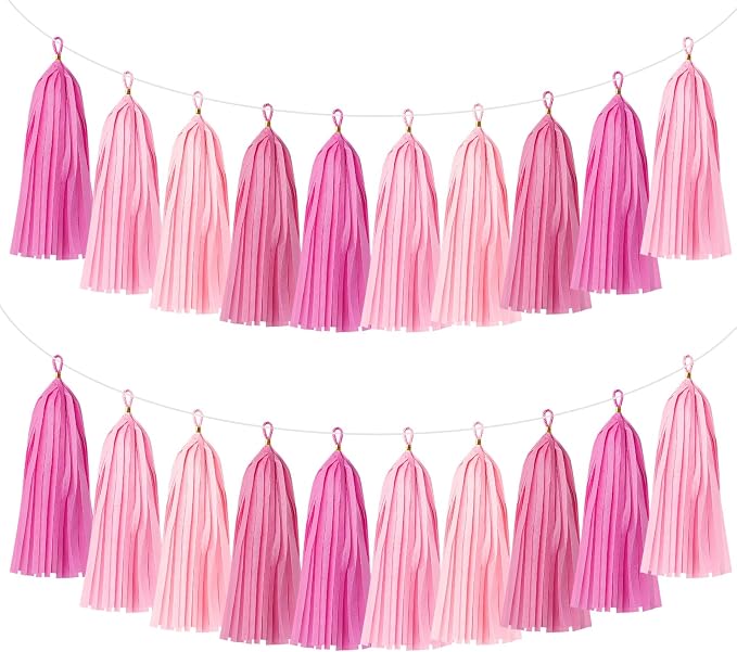 20PCS Tissue Tassel Garland Kit Pre-Cut Tissue Paper Streamers by Chrotopic