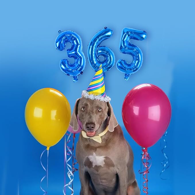 TONIFUL Number Balloon 16 Inch 10 Pcs Blue 0-9 Birthday Number Balloons | Small - Image 4