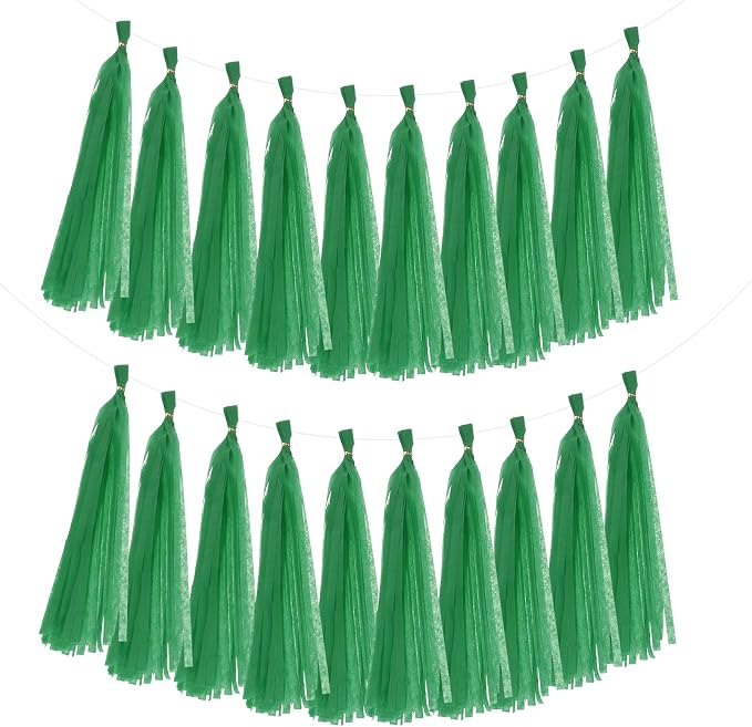 MECCANIXITY 20Pcs Tassel Garland Banner Tissue Paper by MECCANIXITY