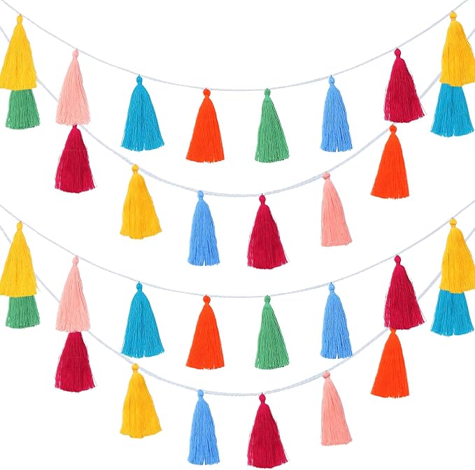 WILLBOND 4 Pcs Rainbow Tassel Garland by Willbond+Technology+Limited
