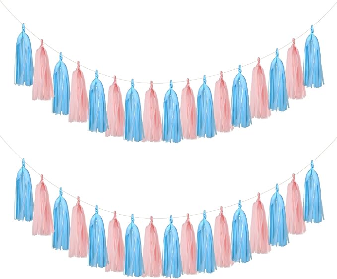 Mefuny 20PCS Gender Reveal Tissue Paper Tassel Banner Baby Pink Blue Tissue by Mefuny